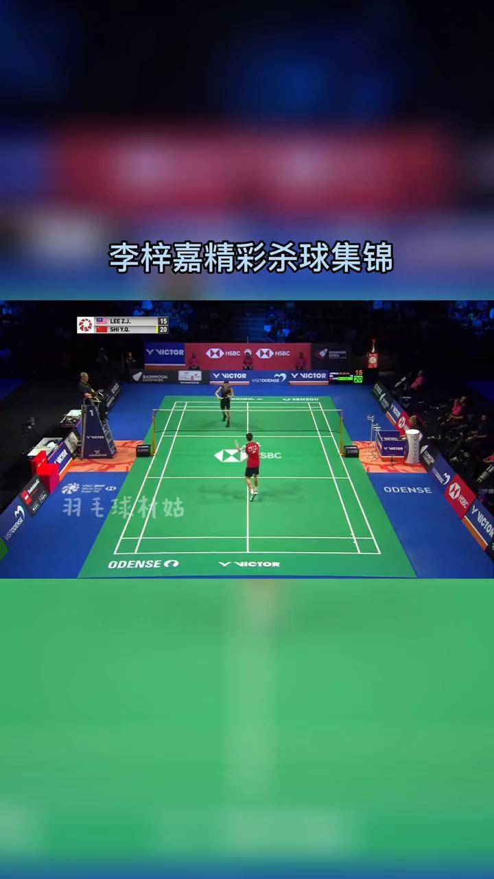 包含丹麦队翻盘日本队，李梓嘉扛起全队的词条