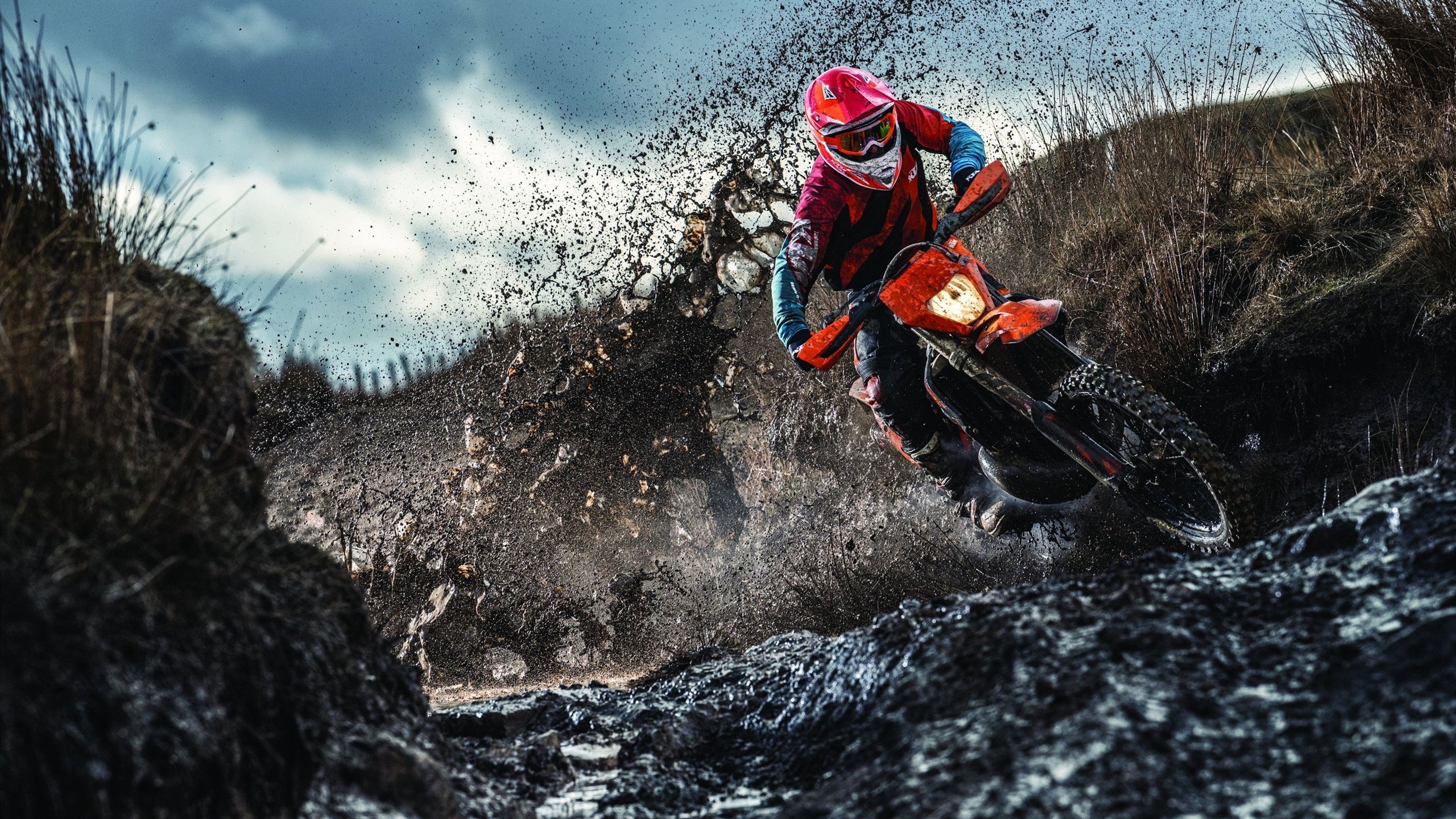 法网险胜ATP总决赛,德约科维奇的王者高光